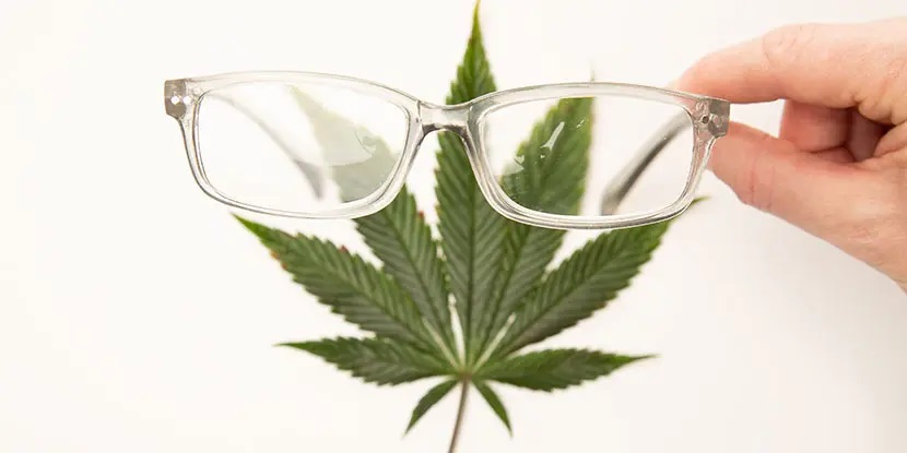 2024 Update: Marijuana and Glaucoma – Is Marijuana a Potential Glaucoma Cure?